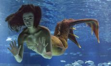 Ruy vê Ritinha de sereia no aquário nesta segunda (7) em "A Força do Querer"
