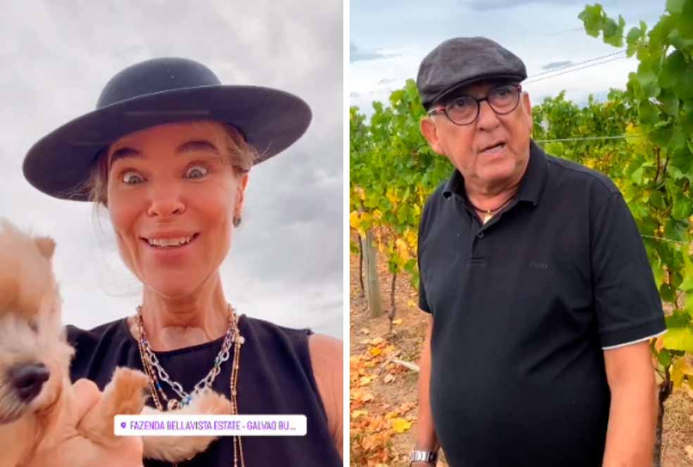 VÍDEO: Galvão Bueno visita sua vinícola no Sul com a esposa e amigos