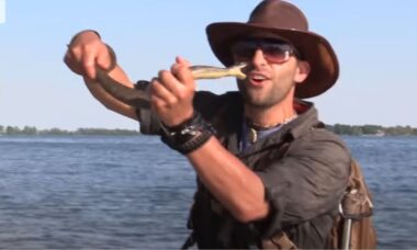 Especialista em vida selvagem é mordido na Ilha das Cobras de Ohio