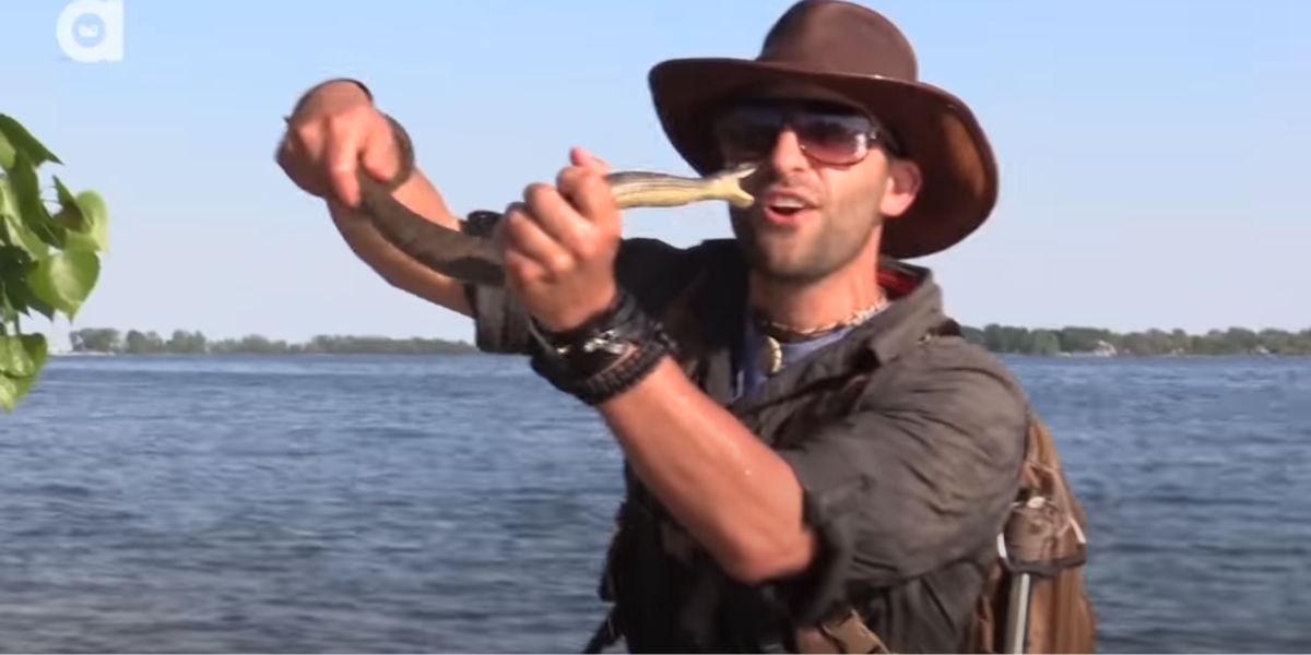Serpente morde esperto di fauna selvatica sull'Isola delle Serpi in Ohio