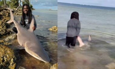 Pescador viraliza ao capturar tubarão vivo com as próprias mãos