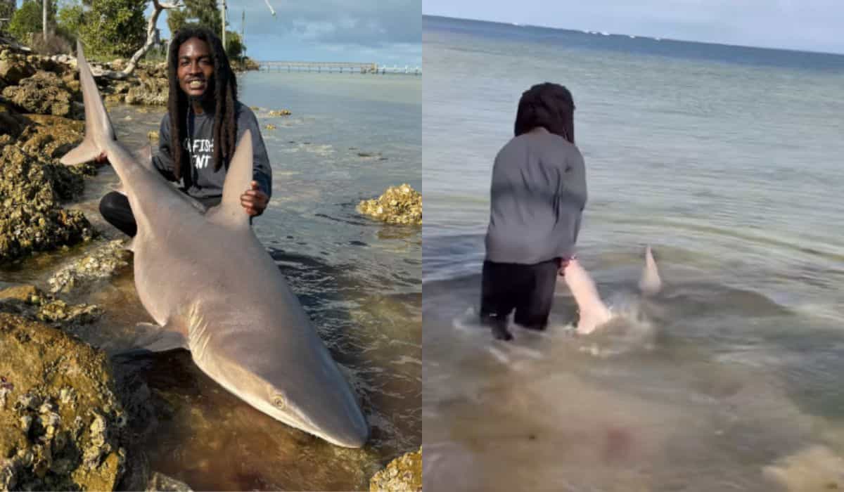 Fiskeren går viralt efter at have fanget levende haj med bare hænder