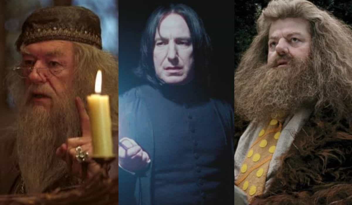 Harry Potter: check out 25 iconic actors from the franchise who have passed away