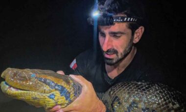 Conservacionista tenta ser devorado por anaconda gigante para alertar sobre desmatamento na Amazônia