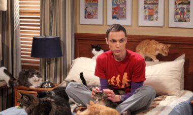 Jim Parsons revela motivo emocionante para sair de “The Big Bang Theory”