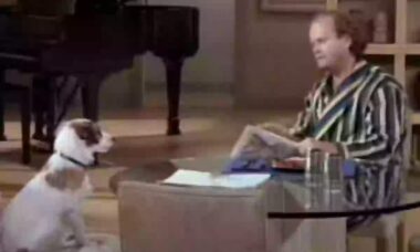 Conheça o cachorro que ganhou cachê US$ 10 mil por episódio de sitcom nos anos 1990