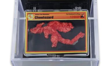 Fã de Pokémon pagou mais de US$ 87.000 num Cheeto em forma de Charizard