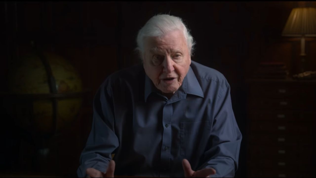 David Attenborough fait une déclaration émouvante sur l'impact du changement climatique sur les océans