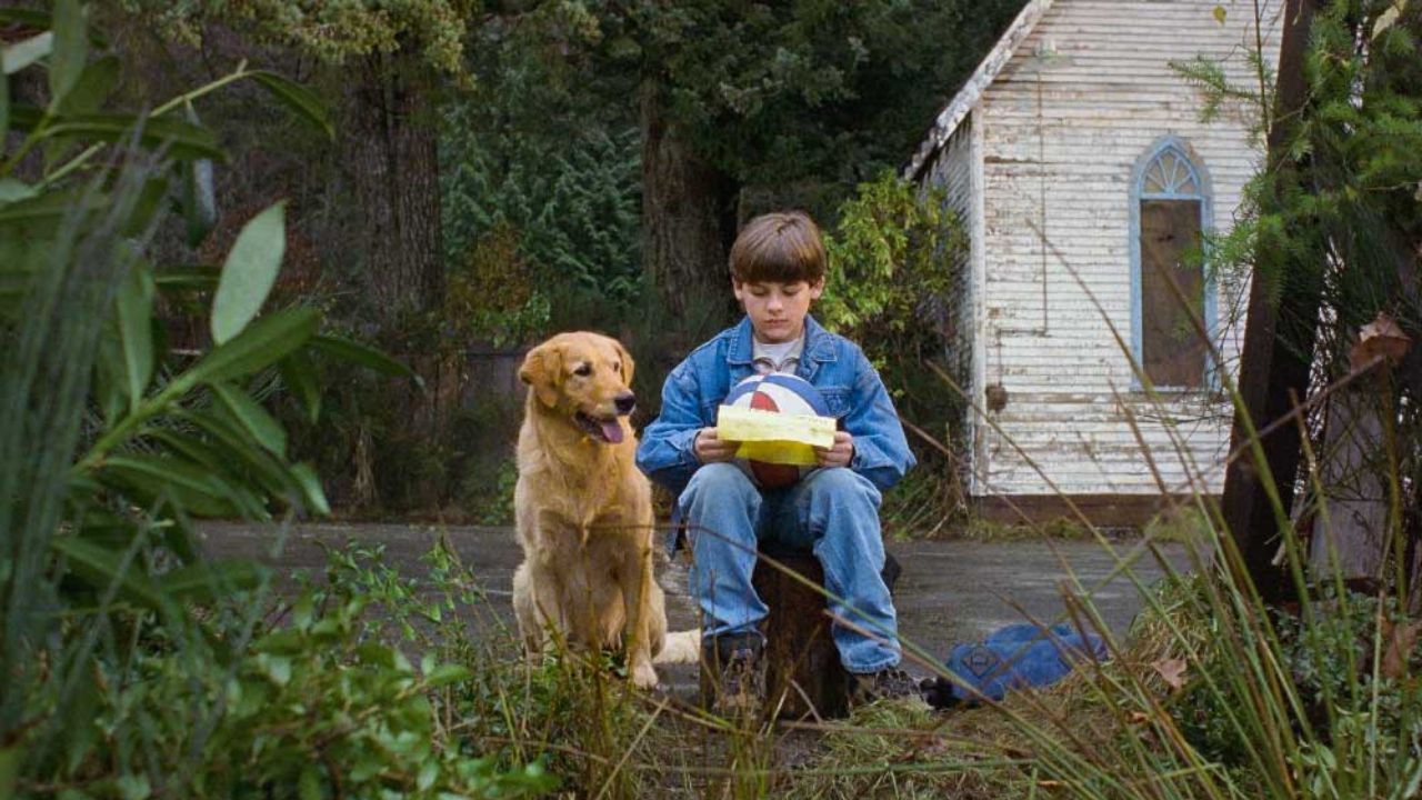 Air Bud Entertainment annonce un nouveau film de la franchise prévu pour sortir en salles en 2026