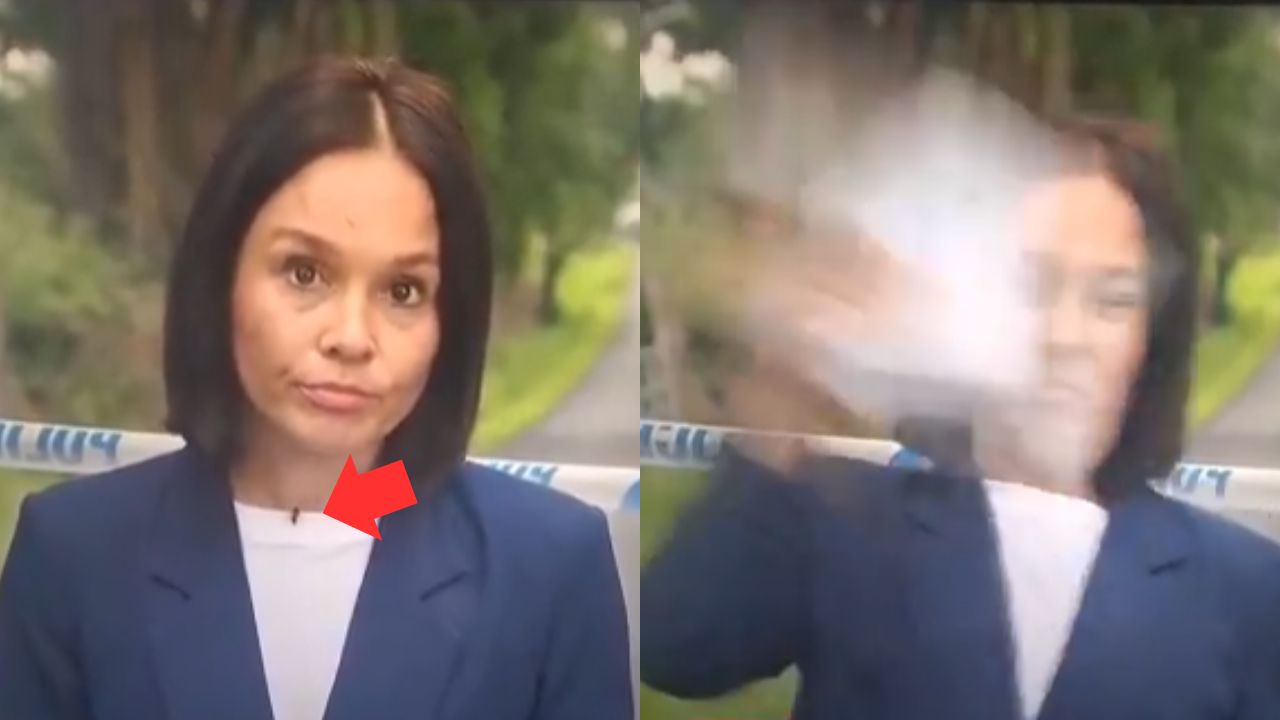 Repórter se desespera ao ver vespa voando durante transmissão ao vivo e vídeo viraliza