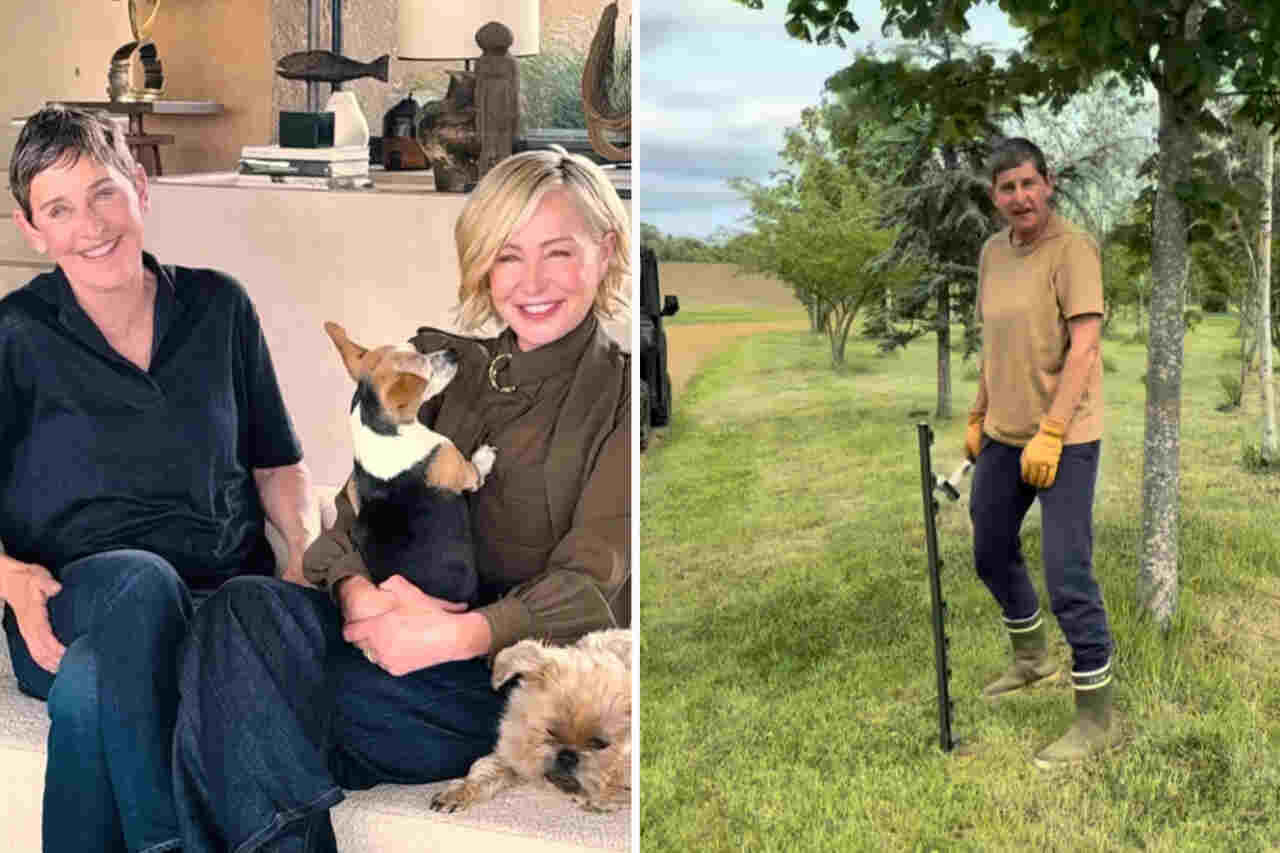 Guarda come sta Ellen DeGeneres dopo essere stata "cacciata" da Hollywood