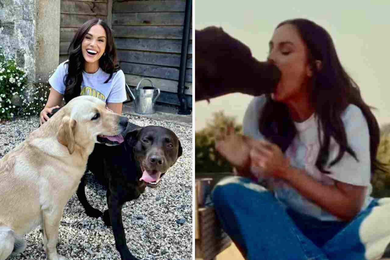 Estrela de reality é detonada após protagonizar cena "nojenta" com seu cachorro 