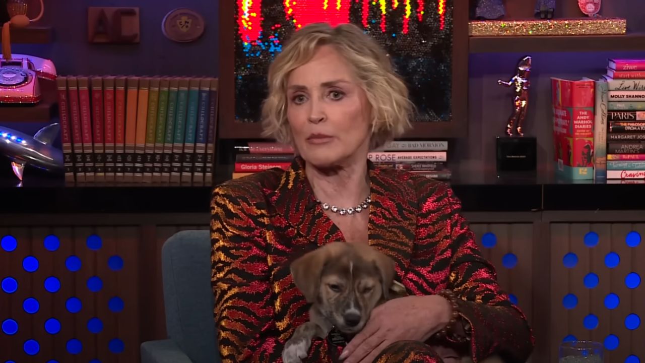 Sharon Stone confessa que já namorou o rapper Nelly