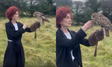 Sharon Osbourne é vista pela primeira vez em público depois da morte de Ozzy Osbourne