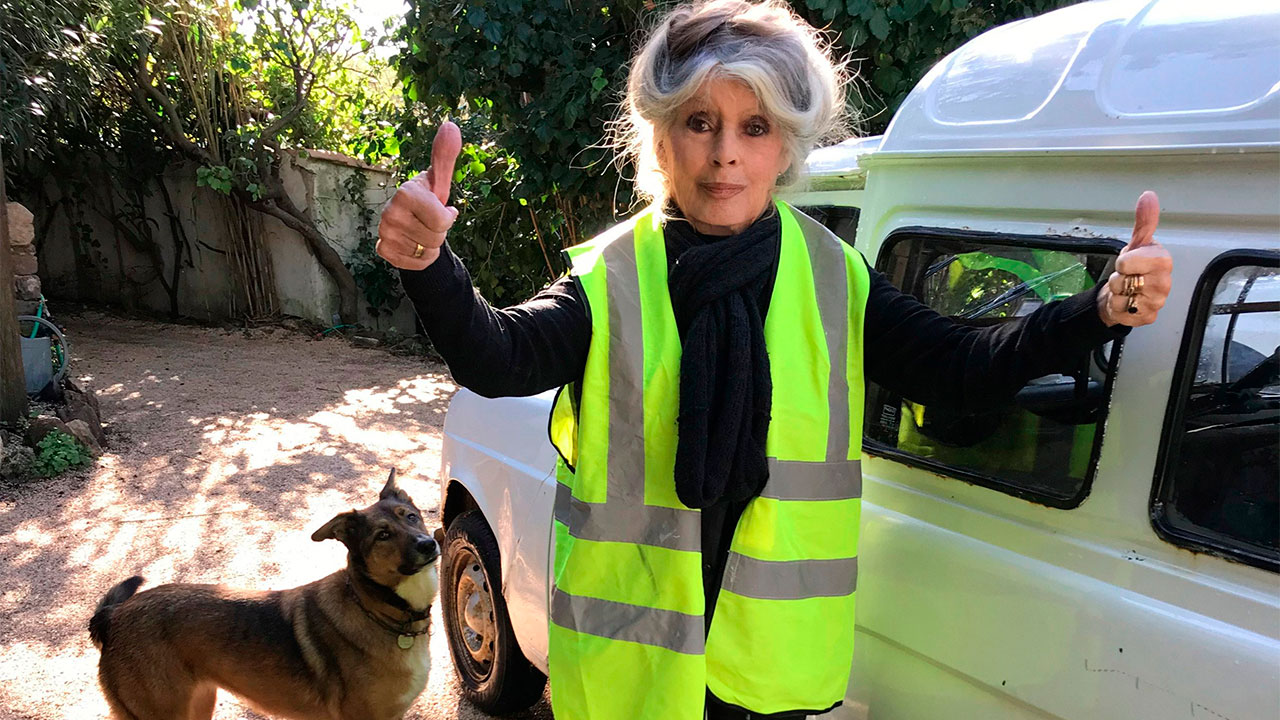 Brigitte Bardot . X @brigitte_bardot