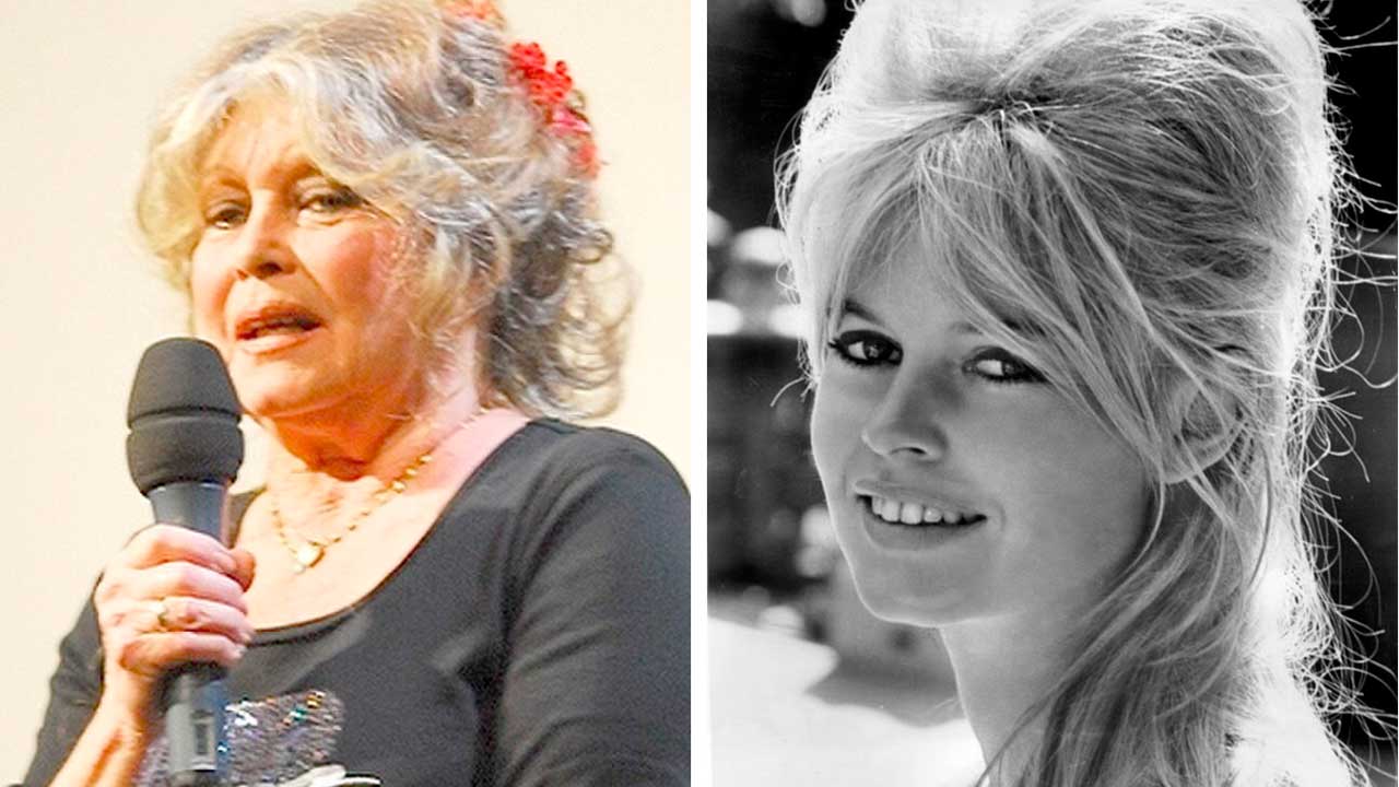 Brigitte Bardot, 2006 / 1962. Fotos: Wikimedia