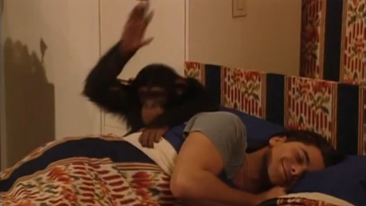 Atrizes de “Full House” relembram em podcast cena perigosa envolvendo um chimpanzé