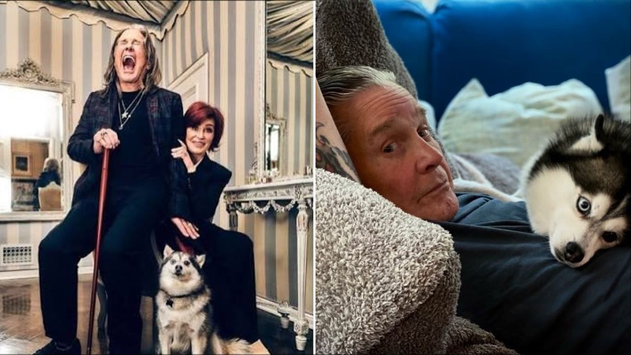 Sharon Osbourne se podělila o to, že přišla o svého psa Elvise necelé tři měsíce po smrti Ozzyho