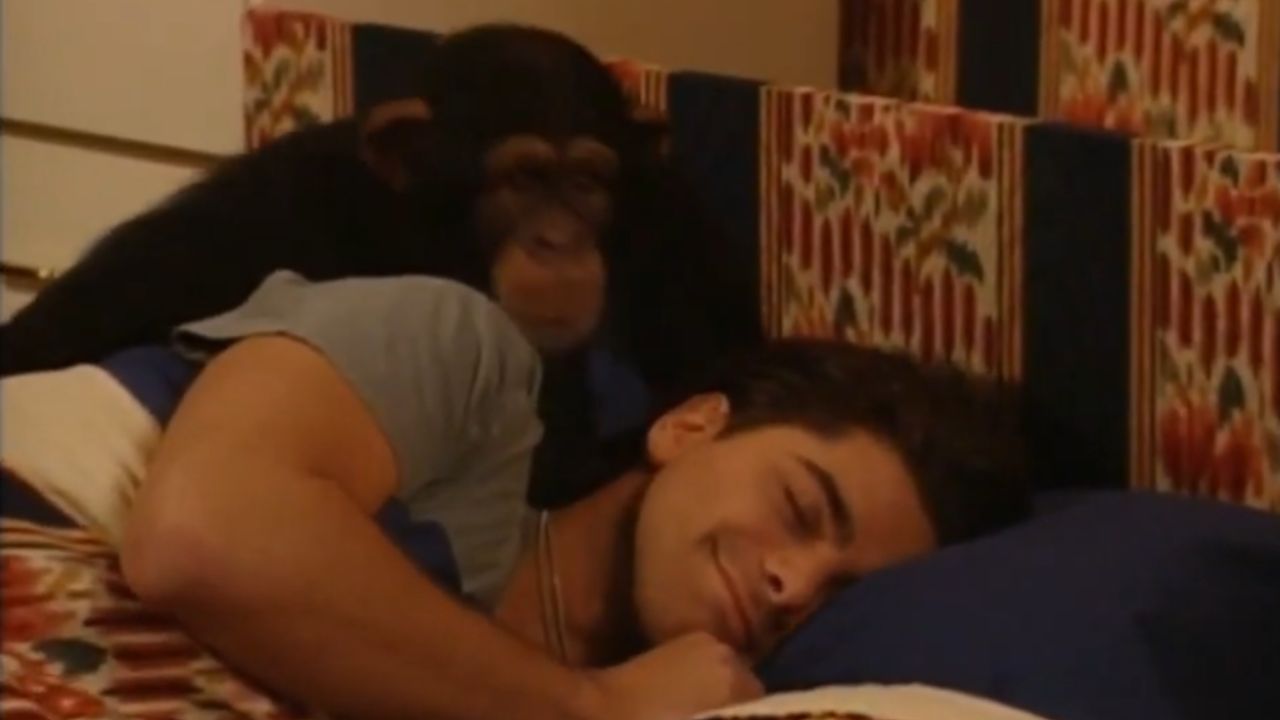 Atrizes de “Full House” relembram em podcast cena perigosa envolvendo um chimpanzé