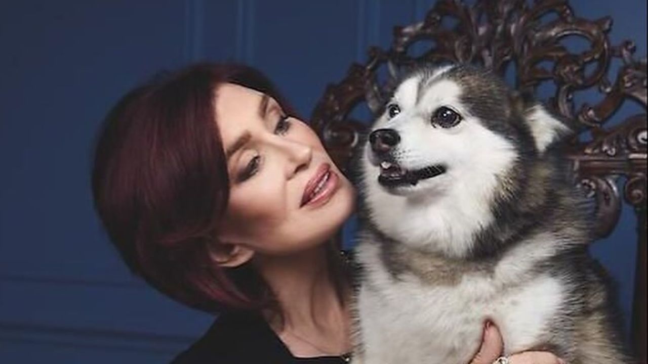 Sharon Osbourne se podělila o to, že přišla o svého psa Elvise necelé tři měsíce po smrti Ozzyho