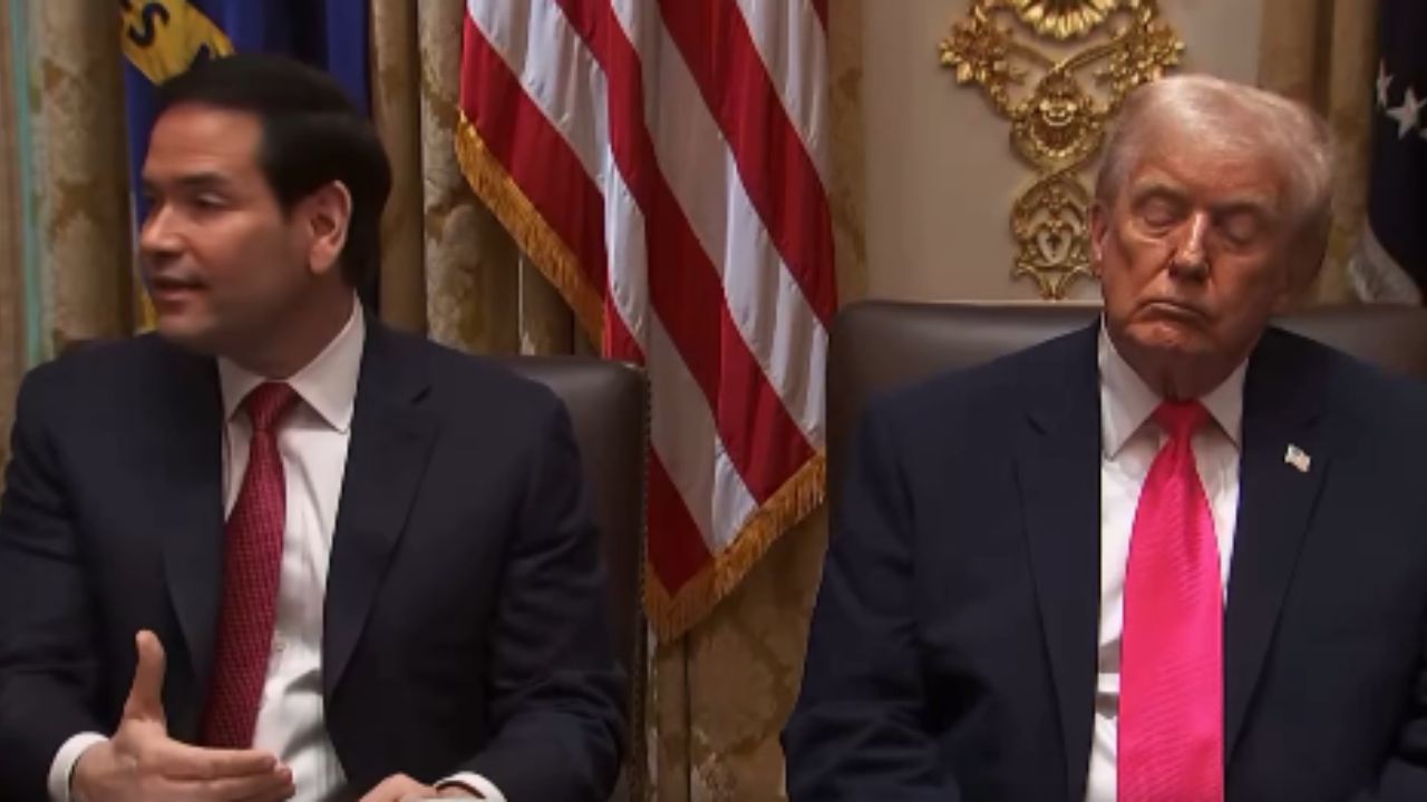 Donald Trump parece dormir em reunião transmitida ao vivo e imagens repercutem nas redes sociais