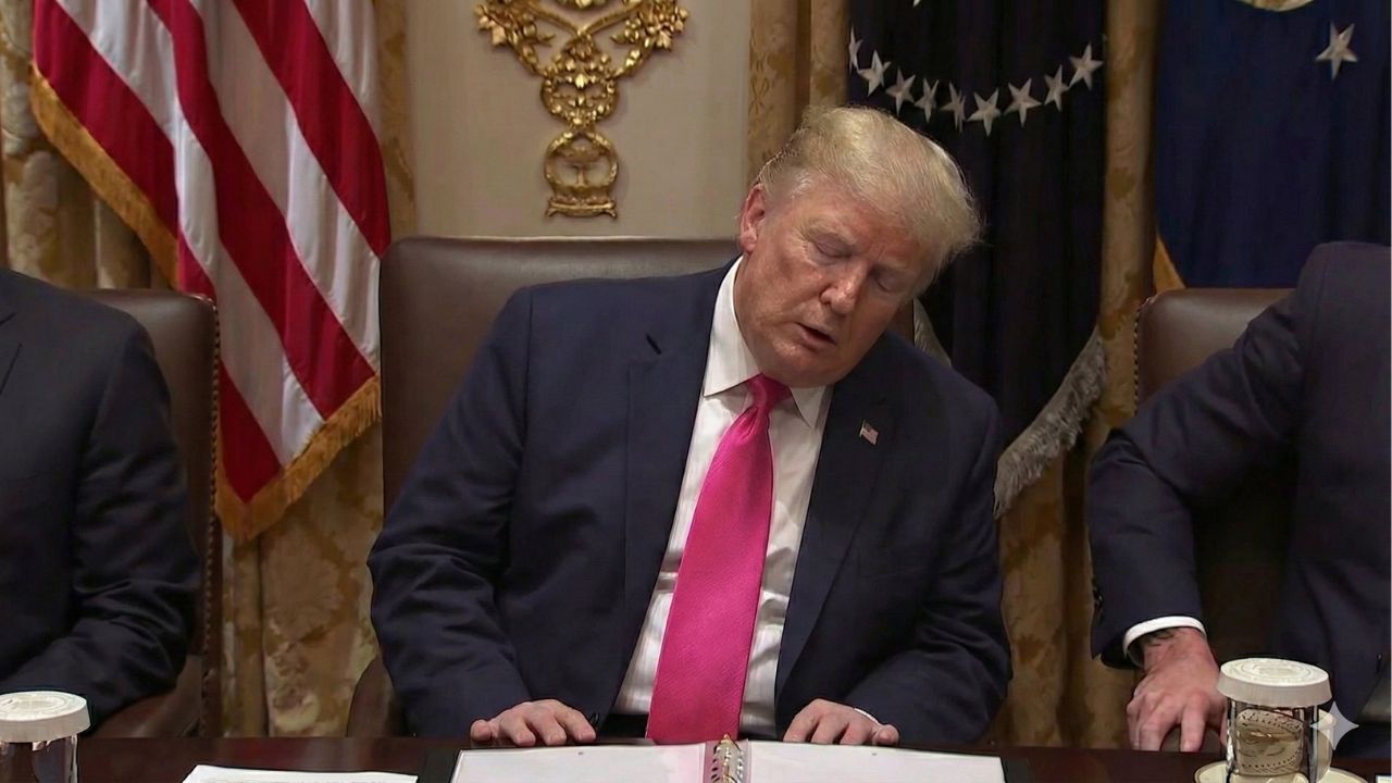 Donald Trump parece dormir em reunião transmitida ao vivo e imagens repercutem nas redes sociais