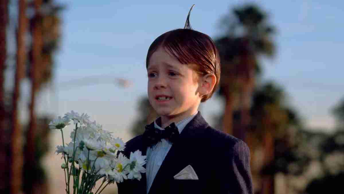 Bug Hall v Little Rascals – reprodukce