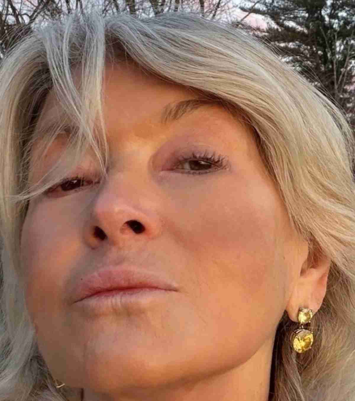 Martha Stewart – reprodukce Instagram