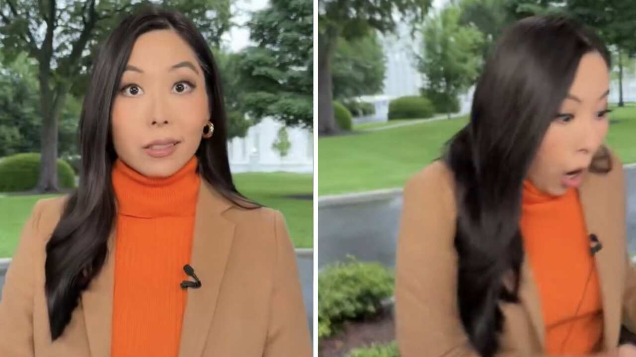 Vídeo: Correspondente da ABC reage a tiros durante gravação na Casa Branca