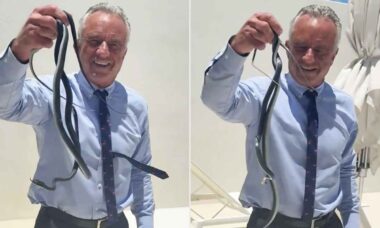 Vídeo mostra RFK Jr. agarrando cobras enquanto esposa entra em pânico
