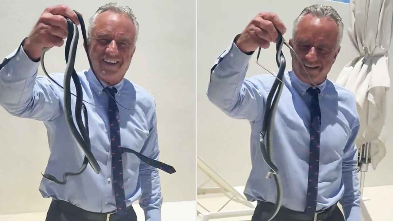 Vídeo mostra RFK Jr. agarrando cobras enquanto esposa entra em pânico
