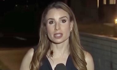 Vídeo: Repórter mantém a calma enquanto barata rasteja por seu corpo durante transmissão ao vivo