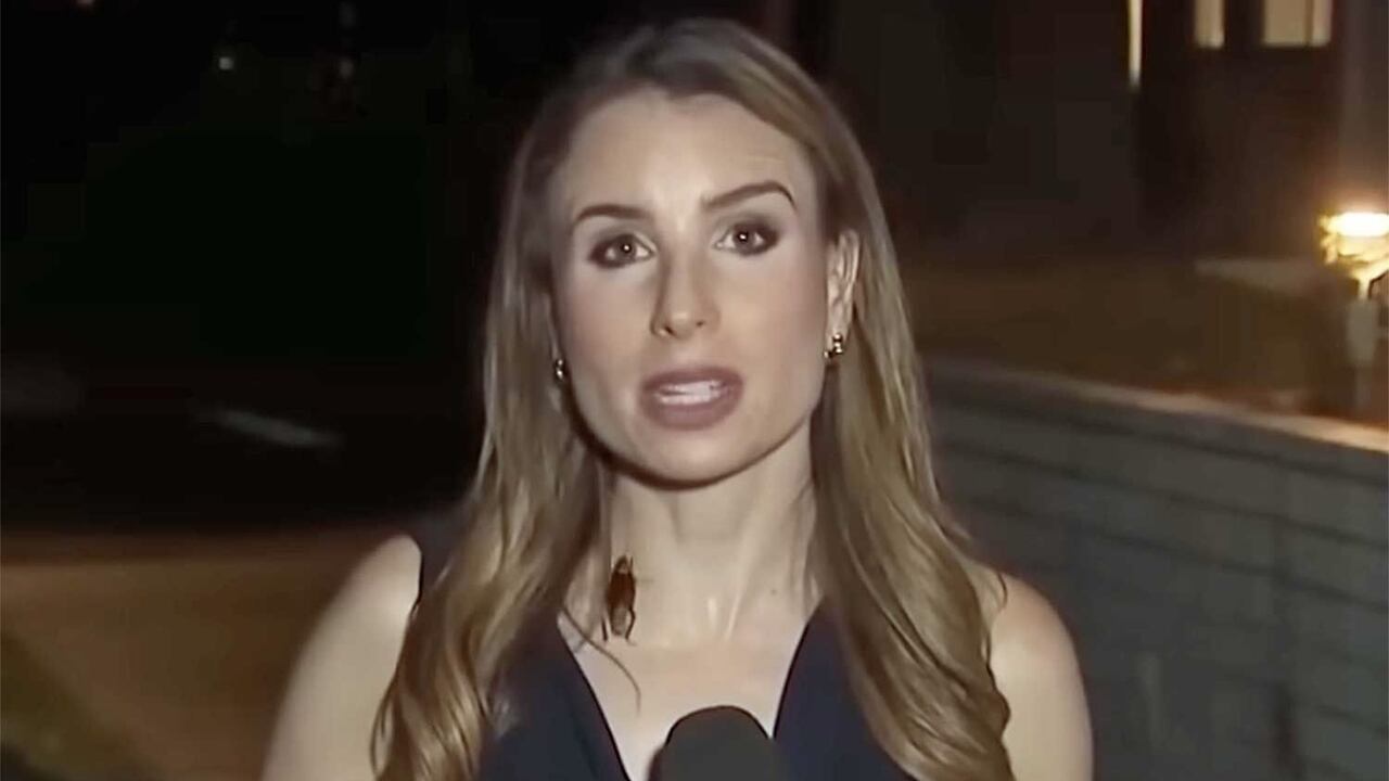 Vídeo: Repórter mantém a calma enquanto barata rasteja por seu corpo durante transmissão ao vivo